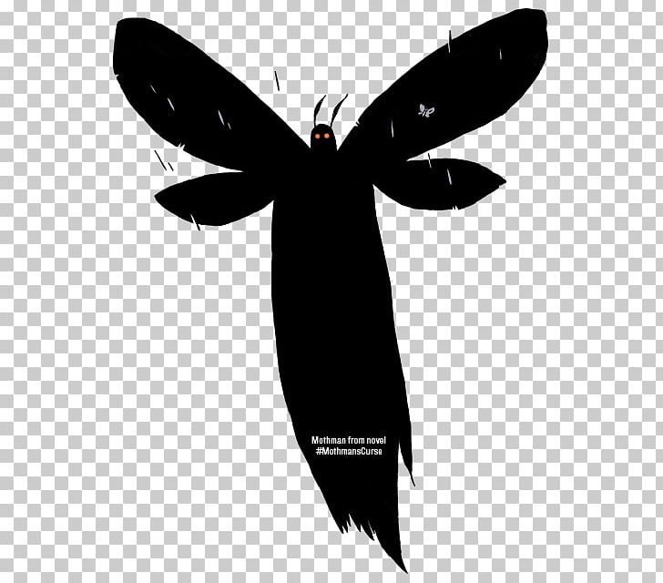 Mothman's Curse YouTube Ghost PNG, Clipart, Arthropod, Black And White, Book, Butterfly, Curse Free PNG Download