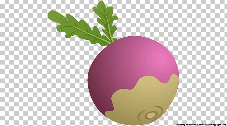 Juice Borscht Beetroot Vegetable PNG, Clipart, Beet, Beetroot, Borscht, Cartoon, Common Beet Free PNG Download