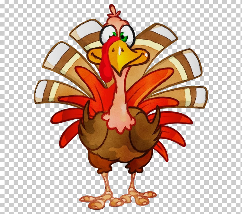 Thanksgiving PNG, Clipart, Beak, Birds, Cartoon, Landfowl, Paint Free PNG Download
