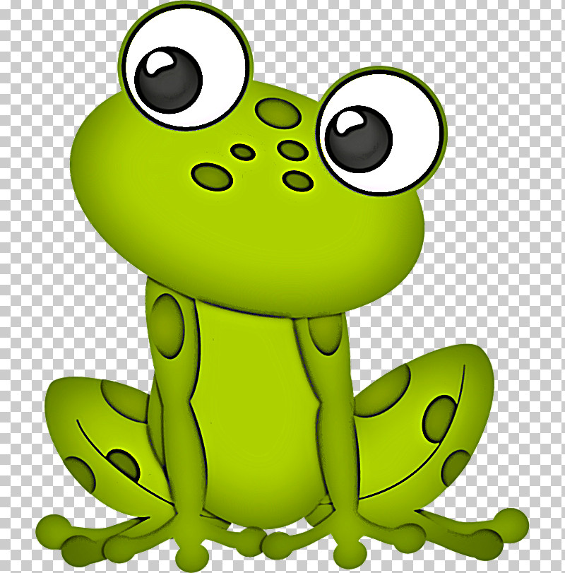 Green Frog True Frog Cartoon Tree Frog PNG, Clipart, Cartoon, Frog, Green, Hyla, Toad Free PNG Download