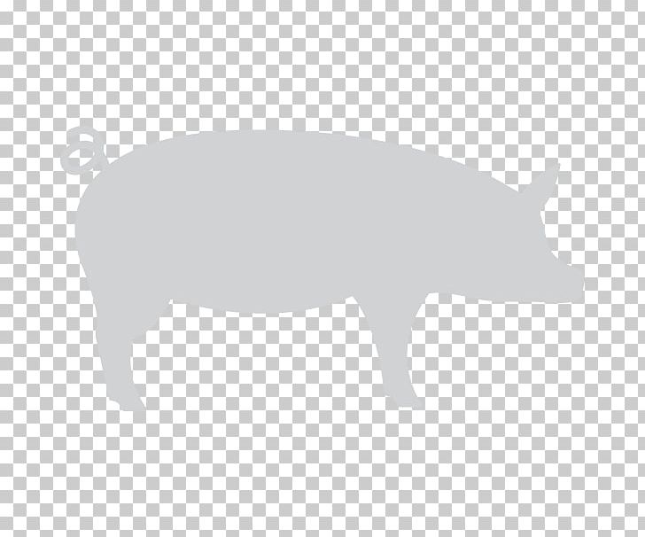 Pig Snout White Wildlife Font PNG, Clipart, Animals, Black And White, Fauna, Livestock, Mammal Free PNG Download