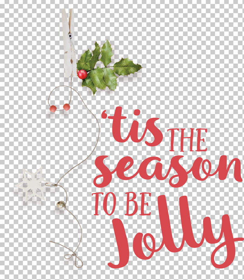 Christmas Day PNG, Clipart, Bauble, Christmas Day, Floral Design, Holly, Meter Free PNG Download