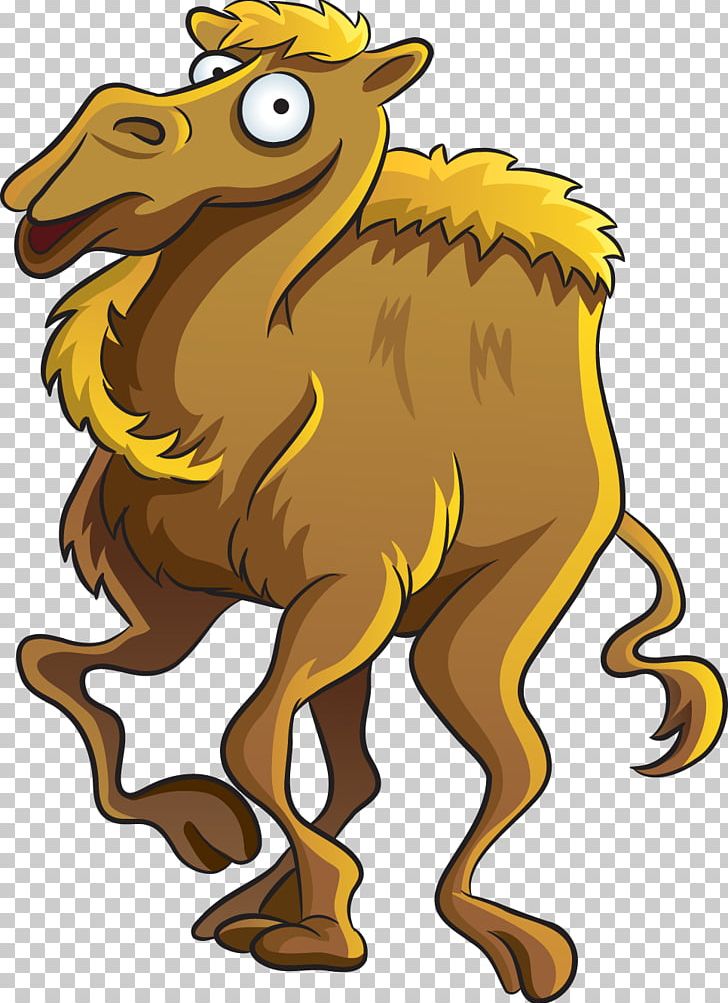 Dromedary Cartoon PNG, Clipart, Big Cats, Camel, Camel Like Mammal, Camel Logo, Carnivoran Free PNG Download