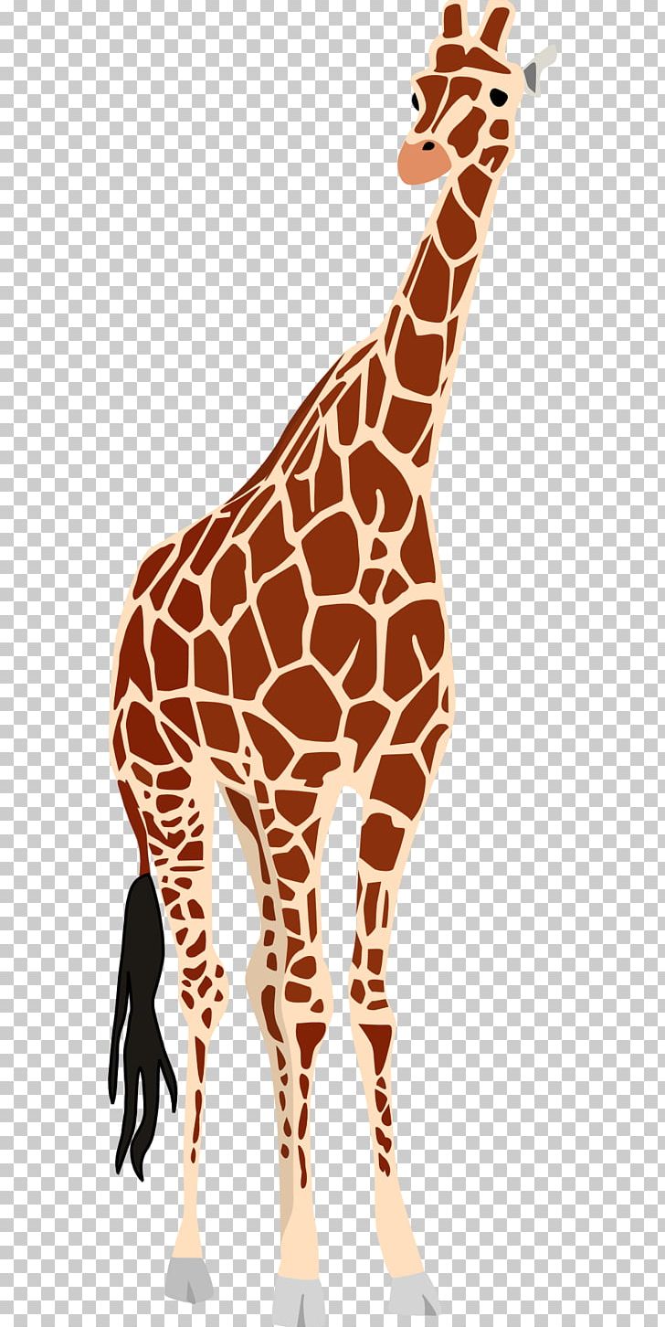 Giraffe Okapi PNG, Clipart, Animal, Animal Figure, Animals, Computer Icons, Download Free PNG Download