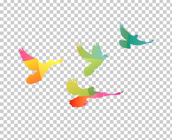 Illustration PNG, Clipart, Animals, Change, Color, Columba, Computer Wallpaper Free PNG Download