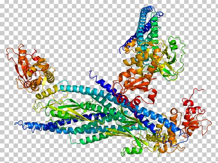 STAT5A SH2 Domain STAT Protein STAT5B PNG, Clipart, Art, Gene, Graphic Design, Jakstat Signaling Pathway, Janus Kinase Free PNG Download