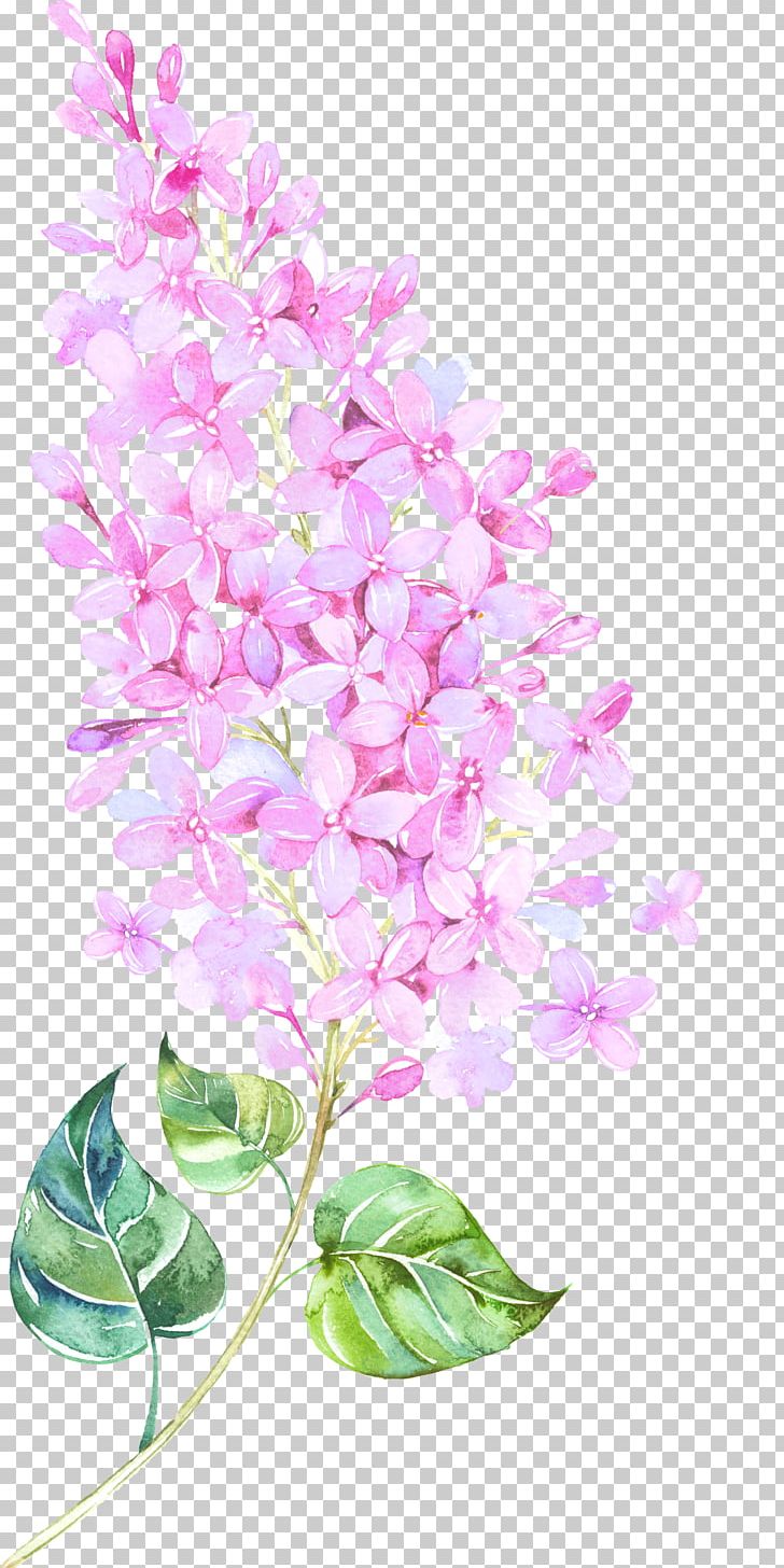 Watercolor Painting Flower Floral Design PNG, Clipart, Branch, Color, Download, Festive Elements, Flora Free PNG Download