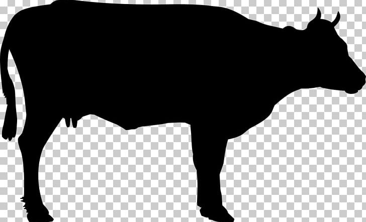 Cattle Calf PNG, Clipart, Animals, Black, Black And White, Bull, Calf Free PNG Download