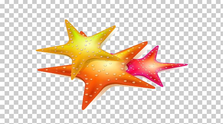 Euclidean Starfish Sea PNG, Clipart, Animals, Beach, Chemical Element, Computer Wallpaper, Element Free PNG Download