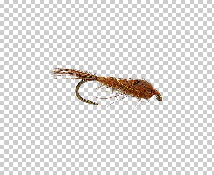Pheasant Tail Nymph Fly Fishing Rhithrogena Germanica Holly Flies PNG, Clipart, Brown, Fly, Fly Fishing, Gift, Gift Card Free PNG Download