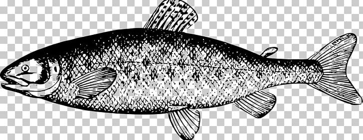 Salmon Black And White River Leven PNG, Clipart, Animals, Black And White, Clip Art, Drawing, Fauna Free PNG Download