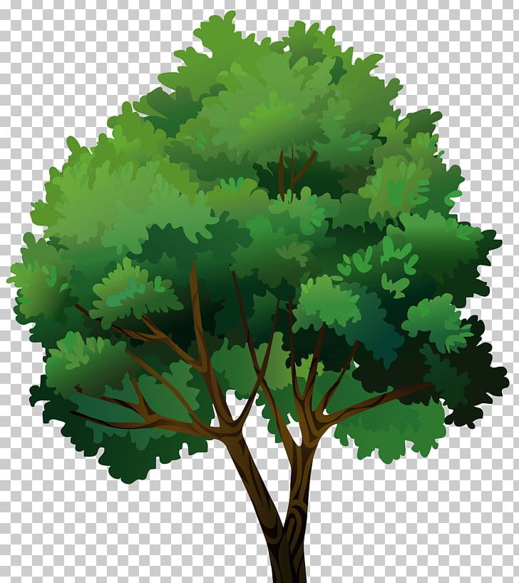 Tree PNG, Clipart, Autocad Dxf, Cartoon, Filename Extension, Leaf, Nature Free PNG Download