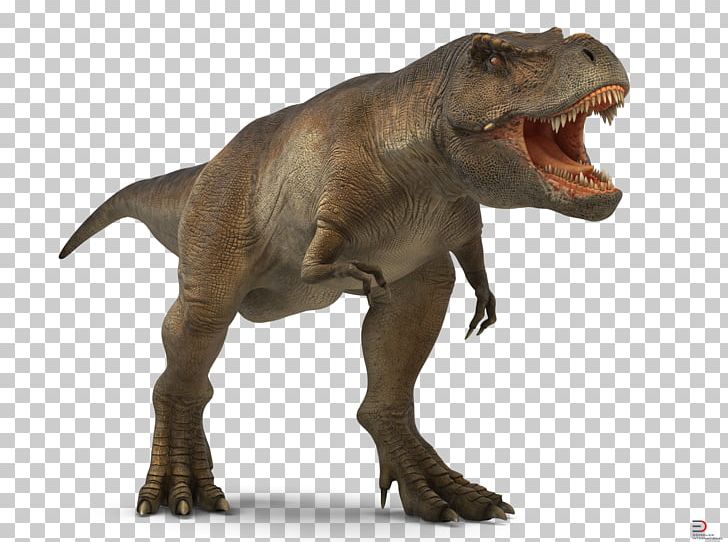 Tyrannosaurus 3D Computer Graphics Dinosaur FBX PNG, Clipart, 3 D Model, 3d Computer Graphics, 3d Modeling, Animal, Cinema 4d Free PNG Download