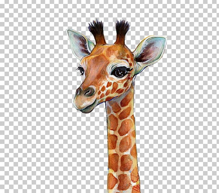 Watercolor Painting Giraffe Art Portrait PNG, Clipart, Animals, Art, Artist, Art Museum, Canvas Free PNG Download