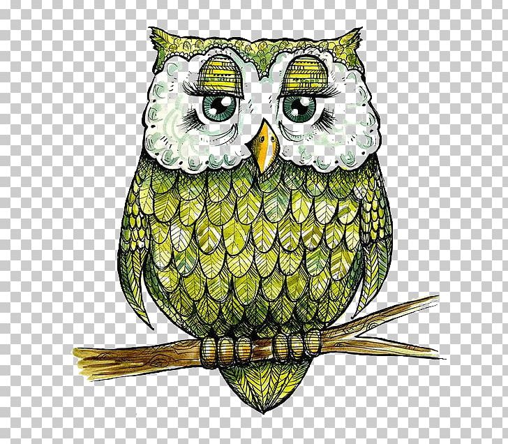 Baby Owls Bird The Four Owls Spoonflower PNG, Clipart, Animal, Animals, Baby Owls, Barn Owl, Beak Free PNG Download