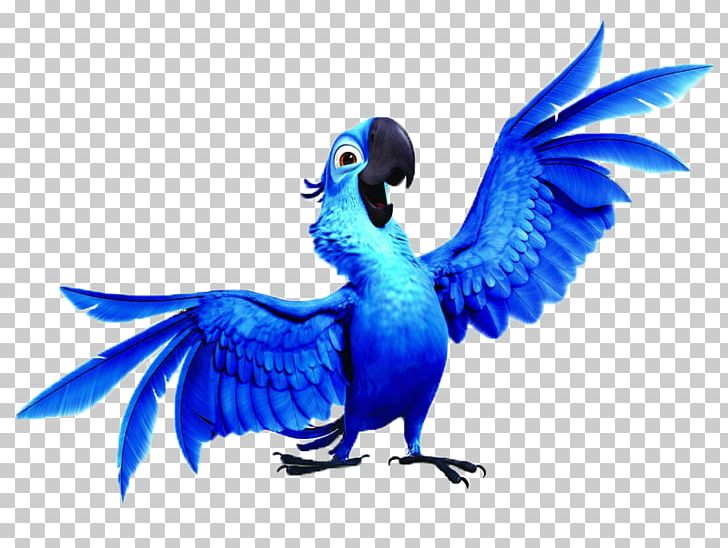 Blu Bia Rio PNG, Clipart, Animation, Beak, Bia, Bird, Blog Free PNG ...