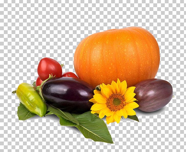 Organic Food Vegetarian Cuisine Health Diet Veganism PNG, Clipart, Cooking, Eating, Food, Fruit, Gourd Free PNG Download