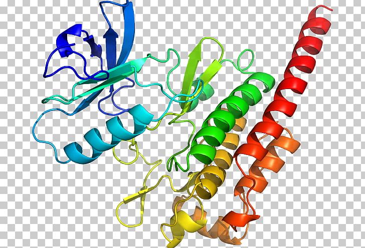 TST Rhodanese Sulfurtransferase Thiosulfate Gene PNG, Clipart, Animal Figure, Artwork, Body Jewelry, Chromosome, Computer Science Free PNG Download