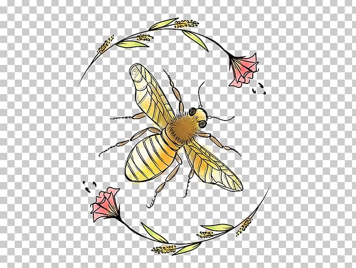 Honey Bee Butterfly 2M PNG, Clipart, Arthropod, Artwork, Bee, Brazil Element, Butterflies And Moths Free PNG Download