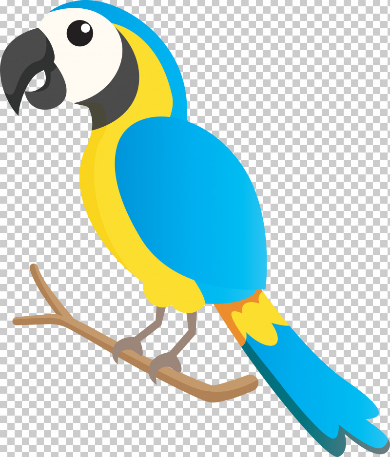 Macaw Parakeet Beak Animal Figurine Biology PNG, Clipart, Animal Figurine, Beak, Biology, Bird Cartoon, Birds Free PNG Download