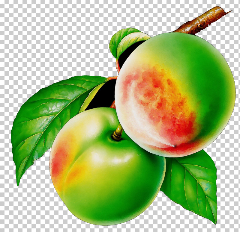 European Plum Fruit Peach Plant Food PNG, Clipart, European Plum, Flower, Food, Fruit, Greengage Free PNG Download
