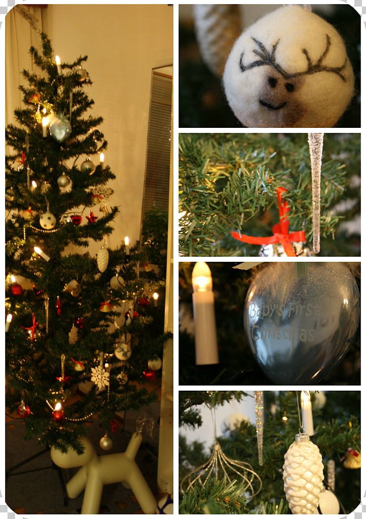 Christmas Tree Christmas Ornament Spruce Fir PNG, Clipart, Christmas, Christmas Decoration, Christmas Ornament, Christmas Tree, Conifer Free PNG Download