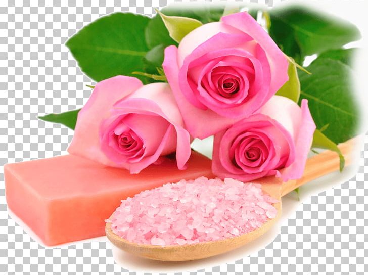 Desktop Rose Pink Spa Flower PNG, Clipart, Color, Cut Flowers, Desktop Metaphor, Floral Design, Floristry Free PNG Download