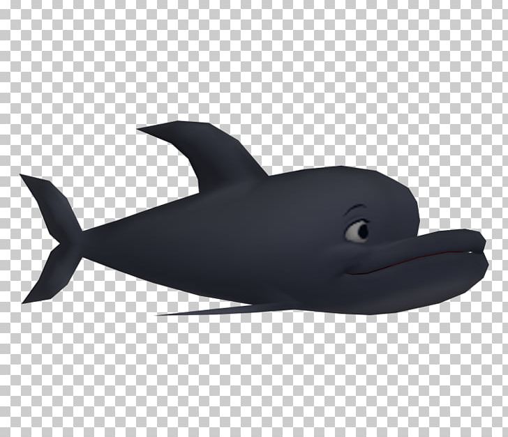 Dolphin Marine Biology PNG, Clipart, Animals, Biology, Dolphin, Fin, Fish Free PNG Download