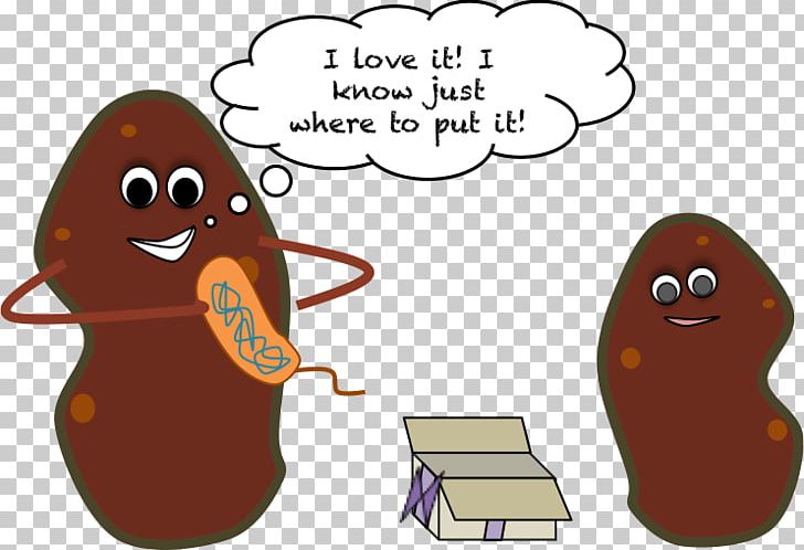Food Sweet Potatoes Genetically Modified Organism Genetically Engineered Potato PNG, Clipart,  Free PNG Download