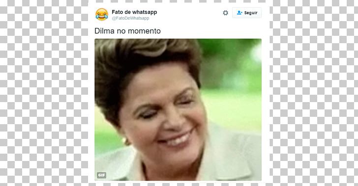 Impeachment Of Dilma Rousseff Chamber Of Deputies Of Brazil President PNG, Clipart, Chamber Of Deputies Of Brazil, Chin, Deputy, Dilma Rousseff, Eyebrow Free PNG Download