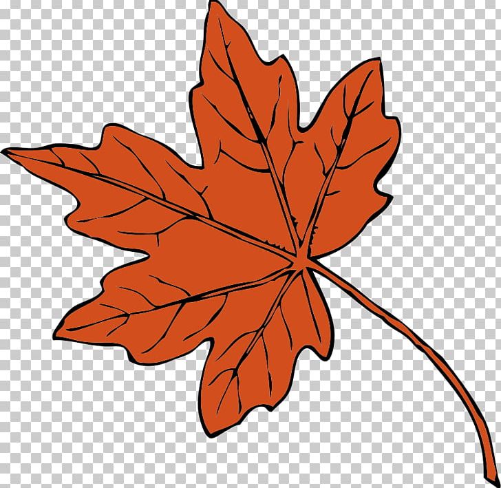 Maple Leaf Scalable Graphics PNG, Clipart, Autumn, Autumn Leaf Color, Download, Drawing, Flower Free PNG Download