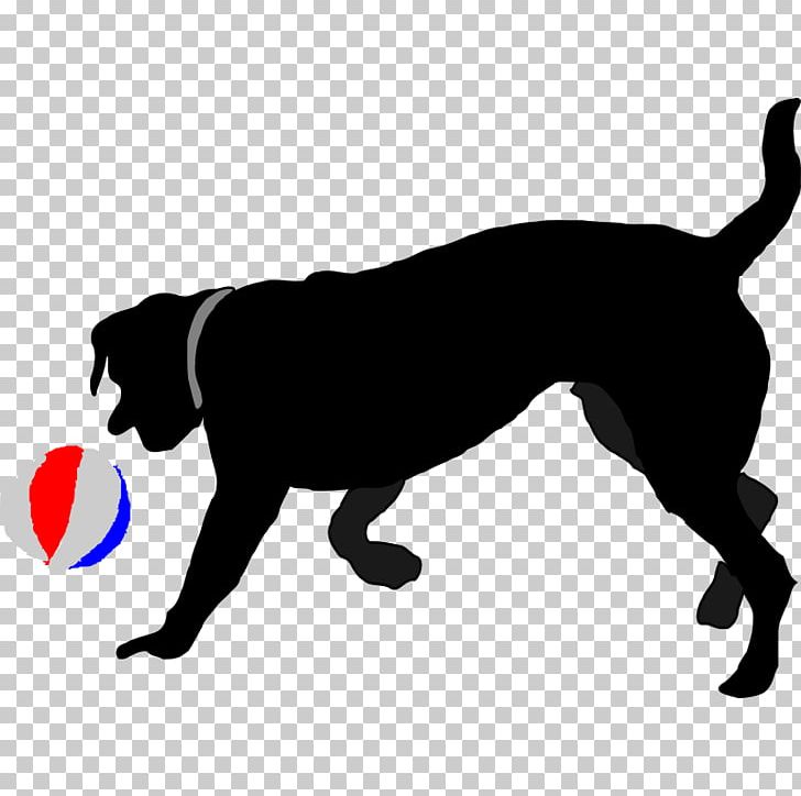 Puppy Dog Breed Labrador Retriever Sporting Group PNG, Clipart, Animals, Art, Black, Black And White, Carnivoran Free PNG Download