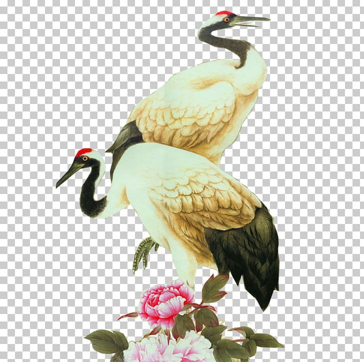 White Stork Red-crowned Crane Bird Grey Crowned Crane PNG, Clipart, Beak, Bird, Black Crowned Crane, Ciconiiformes, Crane Free PNG Download