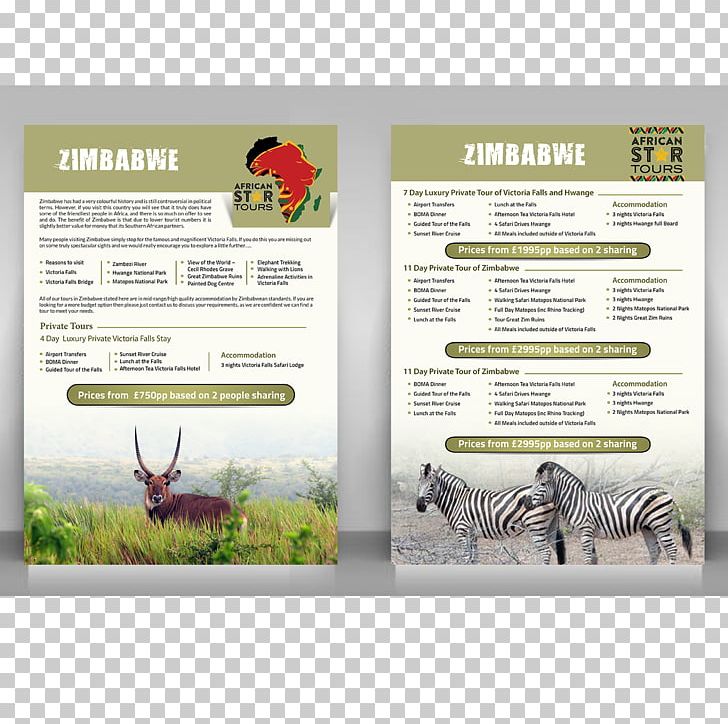 Advertising Brand Fauna PNG, Clipart, Advertising, Art, Brand, Brochure, Fauna Free PNG Download