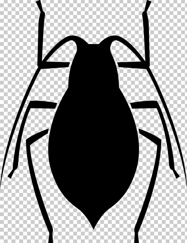 Computer Icons Software Bug Computer Software PNG, Clipart, Artwork, Beak, Bed Bug, Black, Black And White Free PNG Download