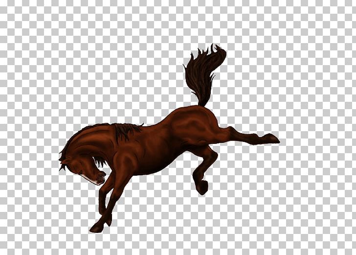 Horse Bucking Stallion Bronco Mane PNG, Clipart, Animals, Bronc Riding, Bucking, Bucking Horse, Bucking Horse And Rider Free PNG Download