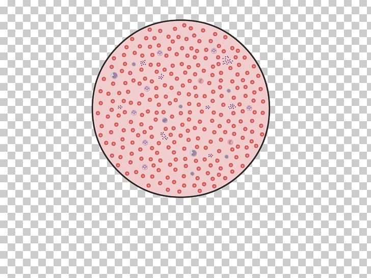 Red Blood Cell White Blood Cell Platelet Complete Blood Count PNG, Clipart, Blood, Blood Cell, Blood Test, Cell, Circle Free PNG Download
