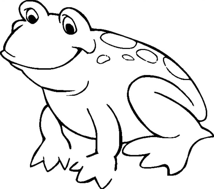American Bullfrog Coloring Book Amphibian Child PNG, Clipart, Adult, American Bullfrog, Amphibian, Animal Figure, Book Free PNG Download