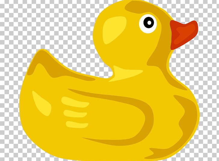 Donald Duck Mallard PNG, Clipart, Beak, Bird, Blog, Cartoon Rubber Duck, Coloring Book Free PNG Download