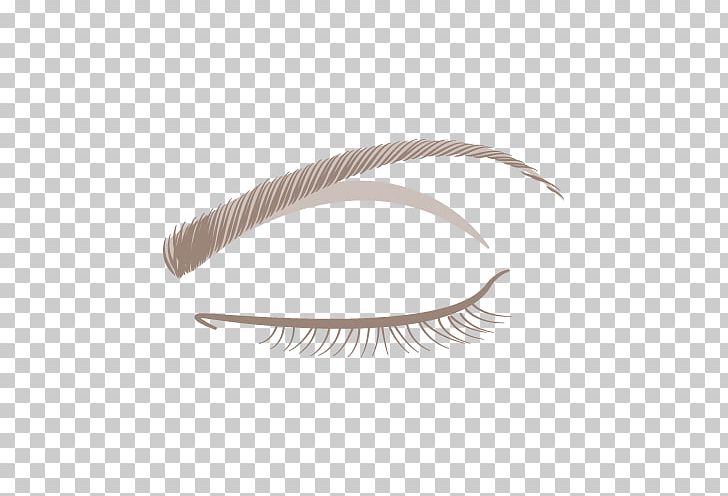 Eyebrow Eyelash Feather PNG, Clipart, Animals, Eyebrow, Eyelash, Feather Free PNG Download