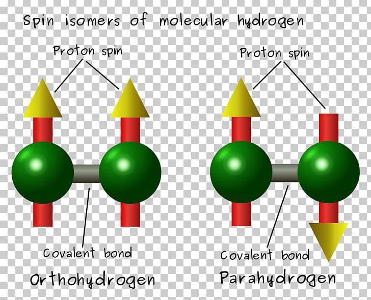 Spin Isomers Of Hydrogen Molecule PNG, Clipart, Angle, Area, Arene Substitution Pattern, Atomic Nucleus, Chemical Molecules Free PNG Download
