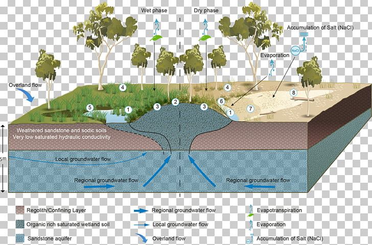 Wetland Groundwater-dependent Ecosystems Aquifer Water Resources PNG, Clipart, Aquatic Ecosystem, Aquifer, Biome, Diagram, Ecosystem Free PNG Download