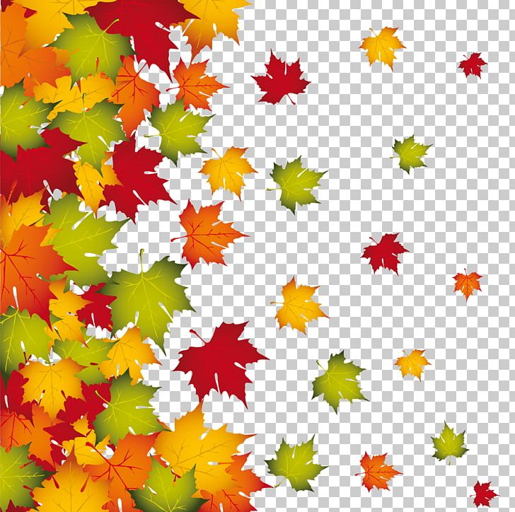 Autumn Leaf Color PNG, Clipart, Autumn, Autumn Leaves, Autumn Tree, Blade, Color Free PNG Download