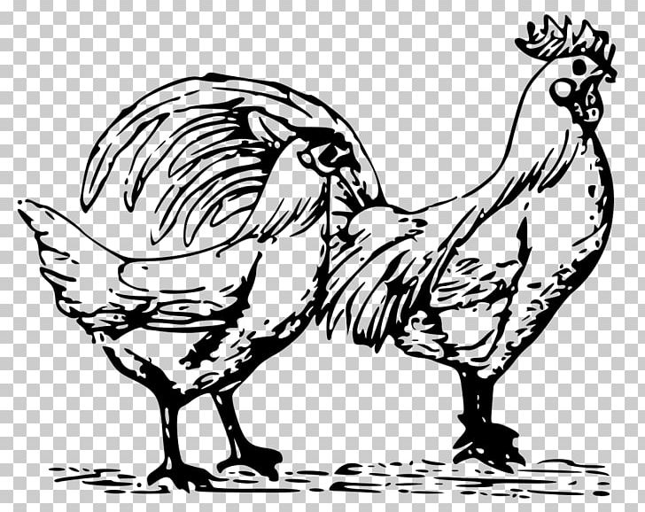 Chicken Bird Rooster Drawing PNG, Clipart, Animal, Animals, Art, Artwork, Beak Free PNG Download