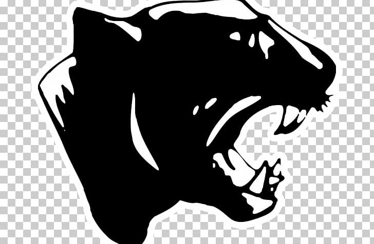 Carolina Panthers Aransas Pass High School Superior Senior Panthers American Football Sports PNG, Clipart, Art, Artwork, Big Cats, Black, Carnivoran Free PNG Download