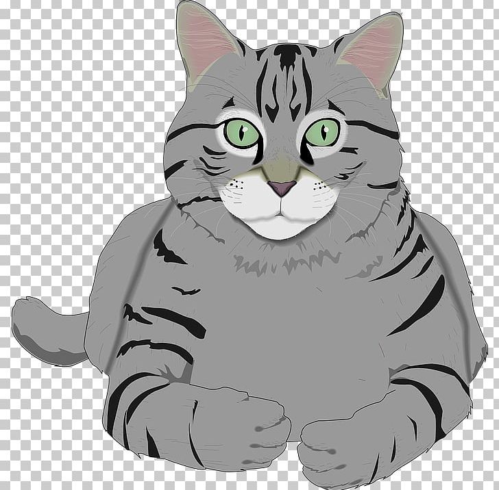 Cat Grey PNG, Clipart, American Wirehair, Animal, Animals, Black, Carnivoran Free PNG Download
