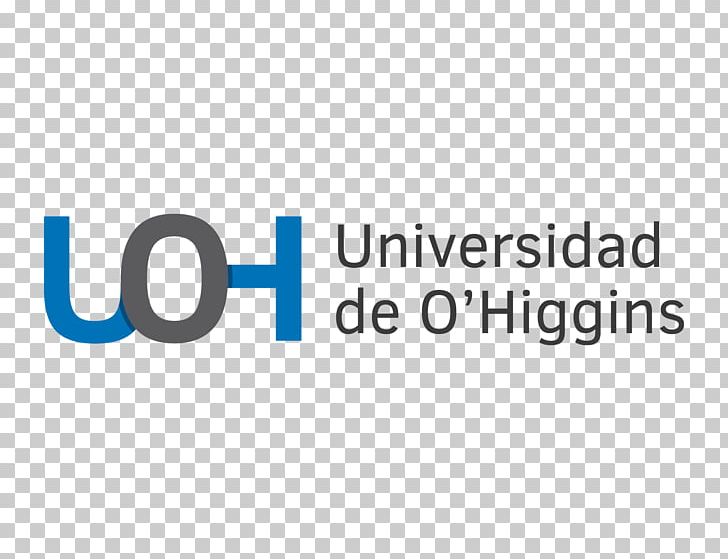 Pontificia Universidad Católica Del Ecuador University Of La Laguna University Of Magallanes University Of Los Lagos PNG, Clipart,  Free PNG Download