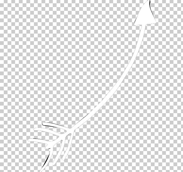White Feather Line Art PNG, Clipart, Animals, Black, Black And White, Drawing, Feather Free PNG Download