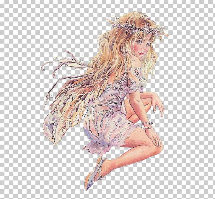 Fairy Flower Fairies Woman PNG, Clipart, Art, Child, Christine Haworth, Costume, Costume Design Free PNG Download