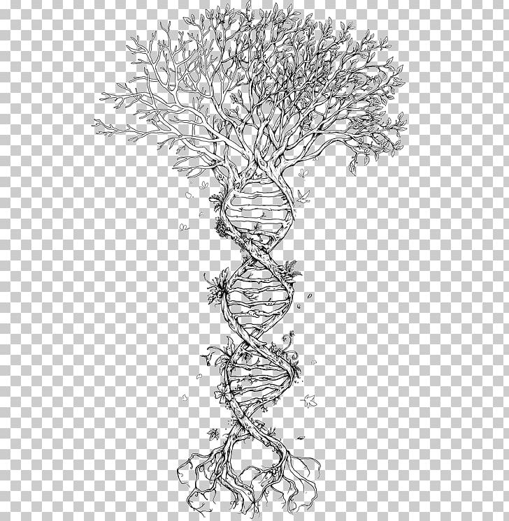 The Double Helix: A Personal Account Of The Discovery Of The Structure Of DNA Tree Nucleic Acid Double Helix Genetics PNG, Clipart, Area, Artwork, Biology, Black And White, Branch Free PNG Download